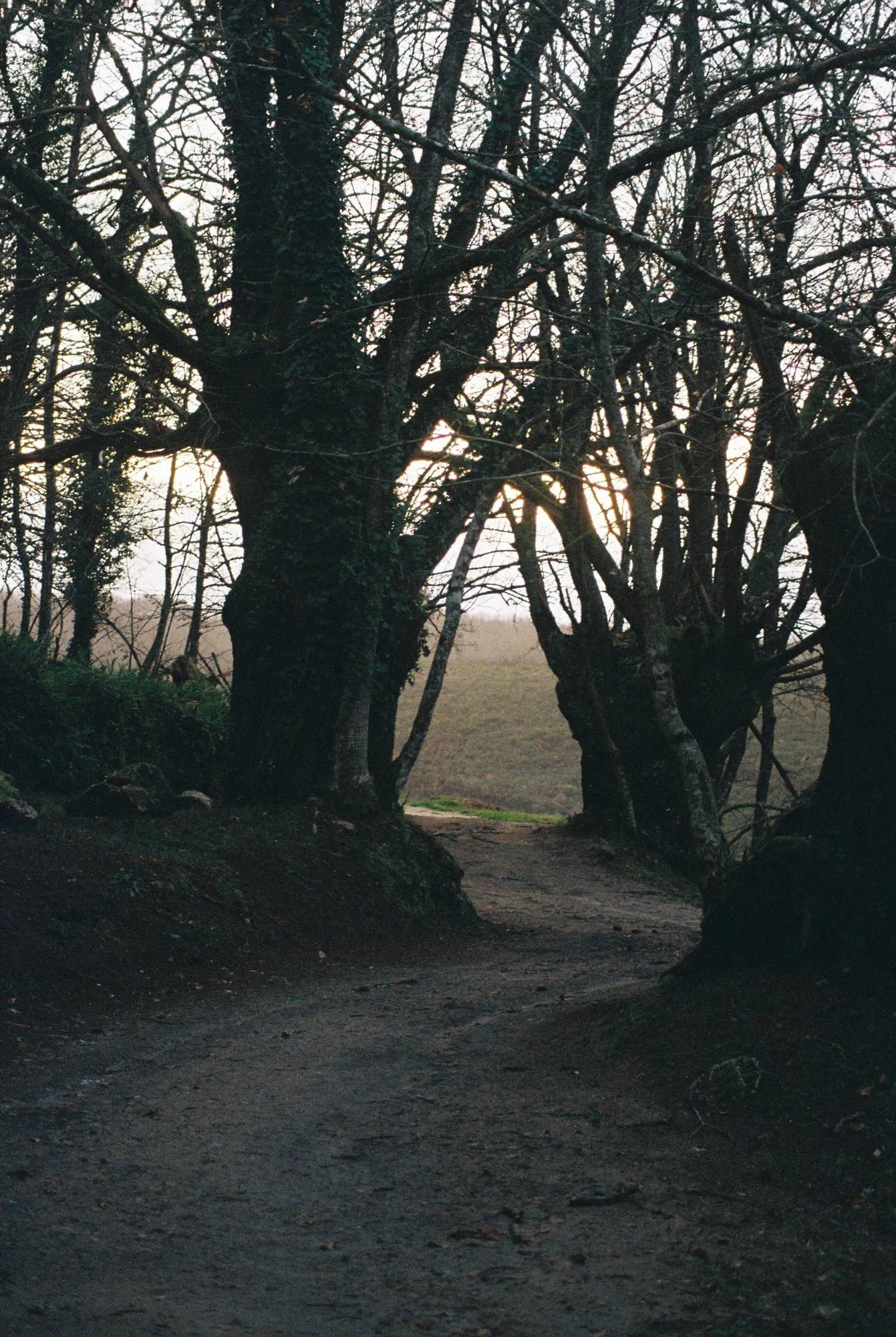 Atmosferas — fotografía analóxica 2