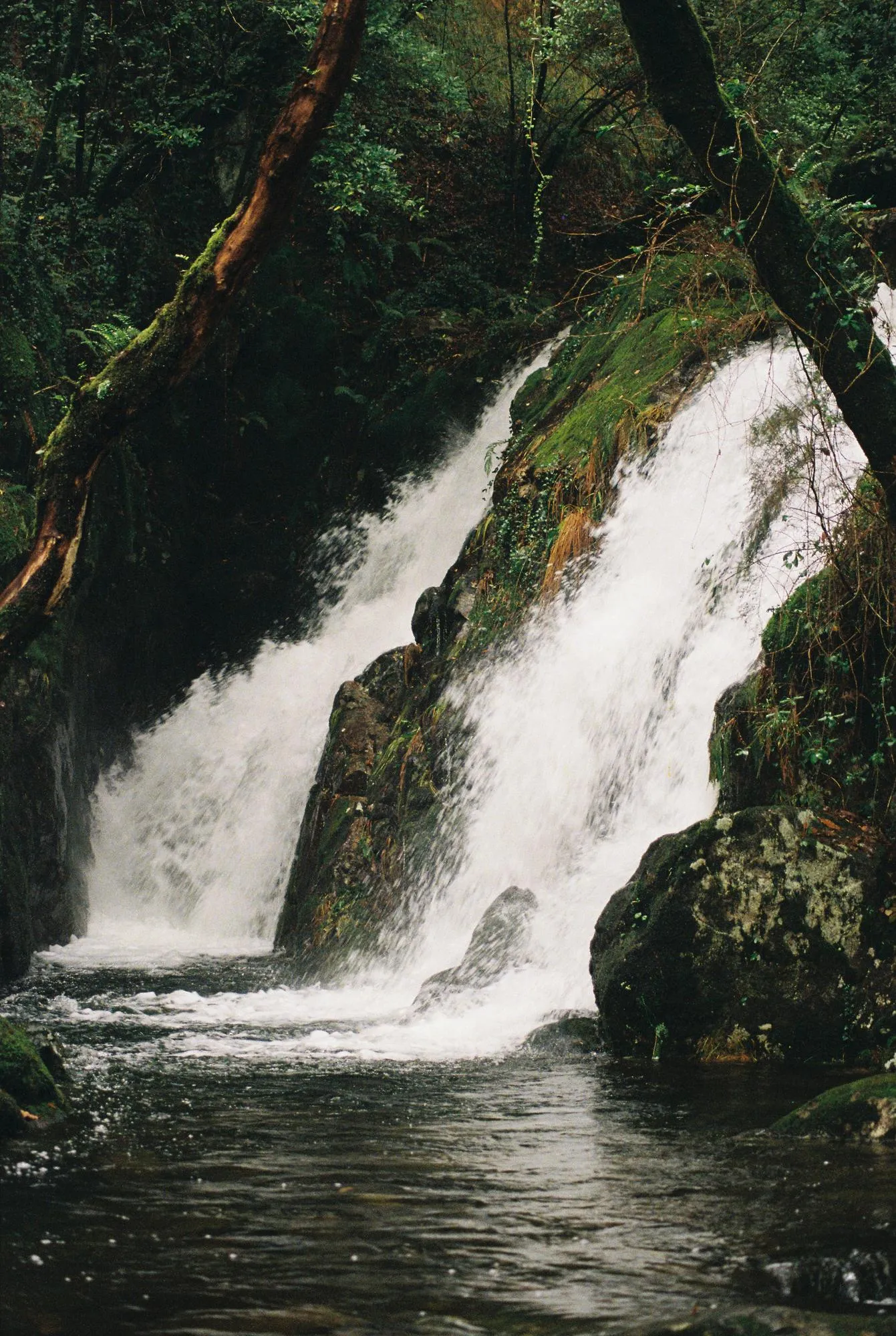 Atmosferas — fotografía analóxica 3