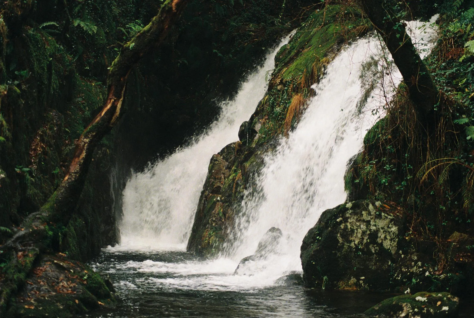 Atmosferas — fotografía analóxica 4