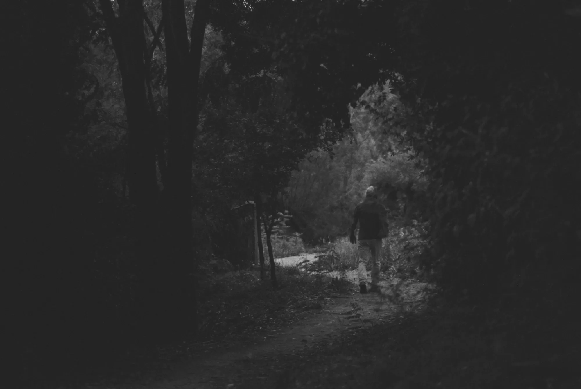Atmosferas — fotografía analóxica 9