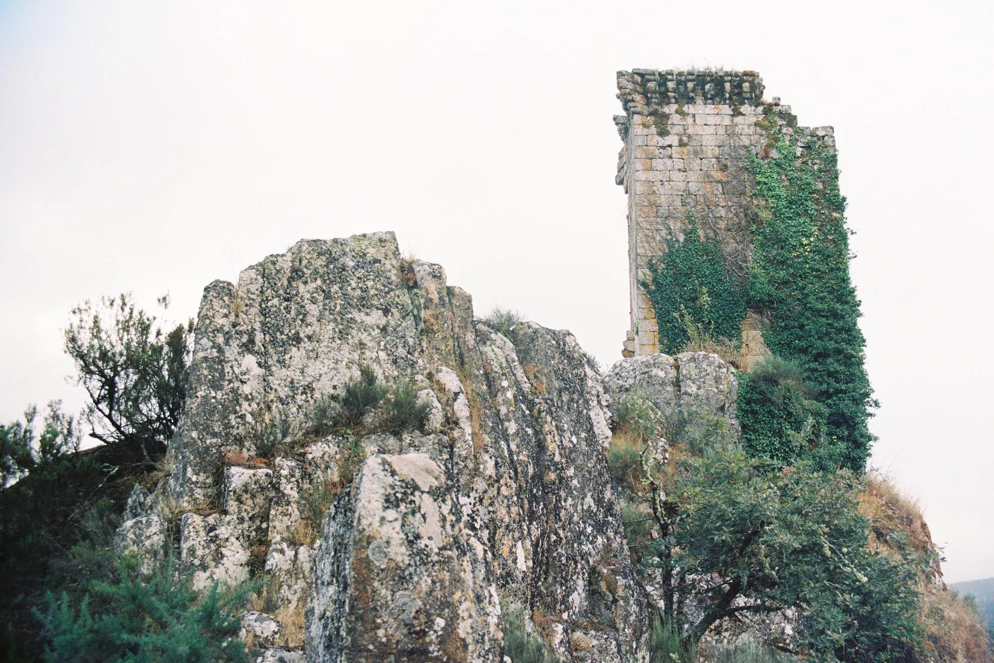 Estrutura — fotografía analóxica 4