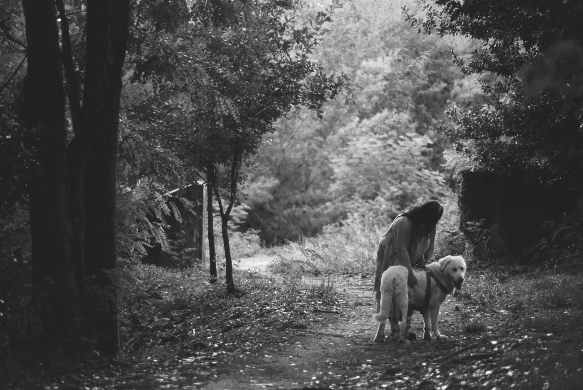 Fauna — fotografía analóxica 2