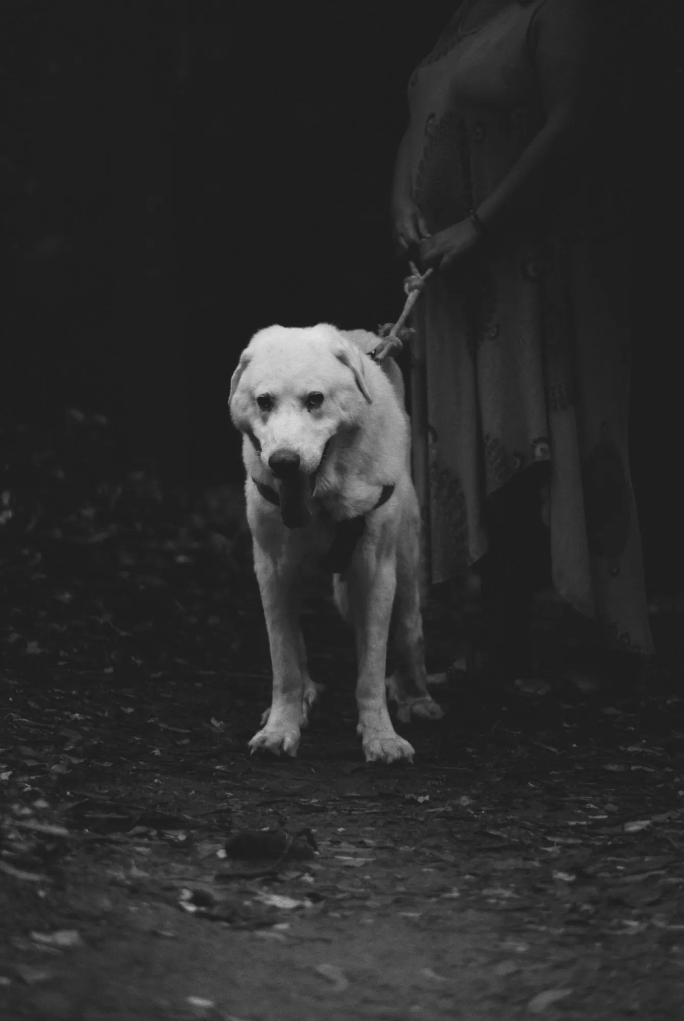 Fauna — fotografía analóxica 5