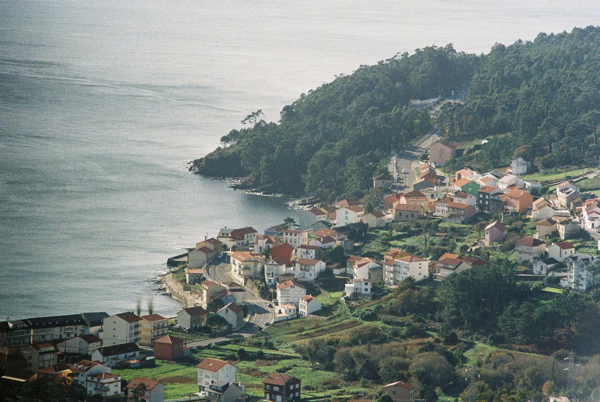 Paisaxe habitada — fotografía analóxica 4