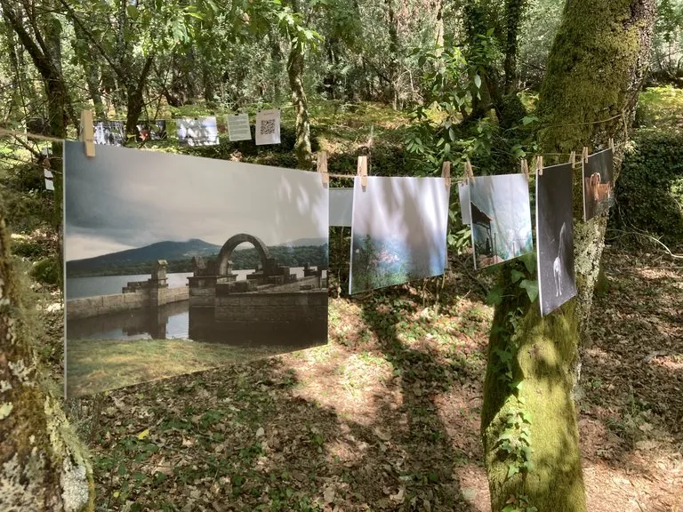 Proceso — fotografía analóxica 10