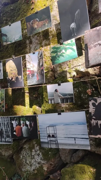 Proceso — fotografía analóxica 15