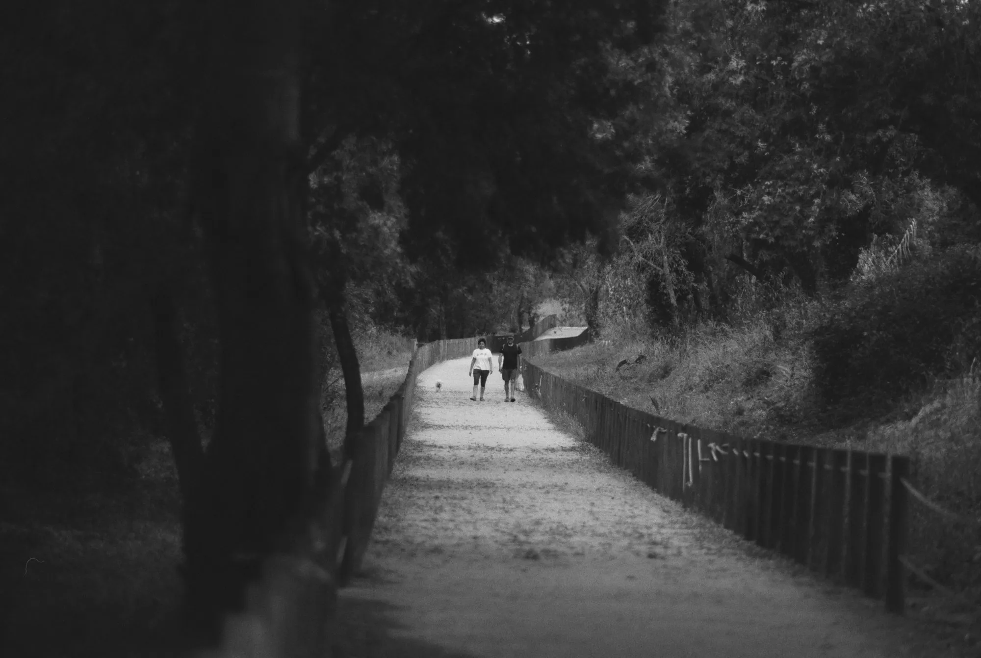 Xente — fotografía analóxica 18